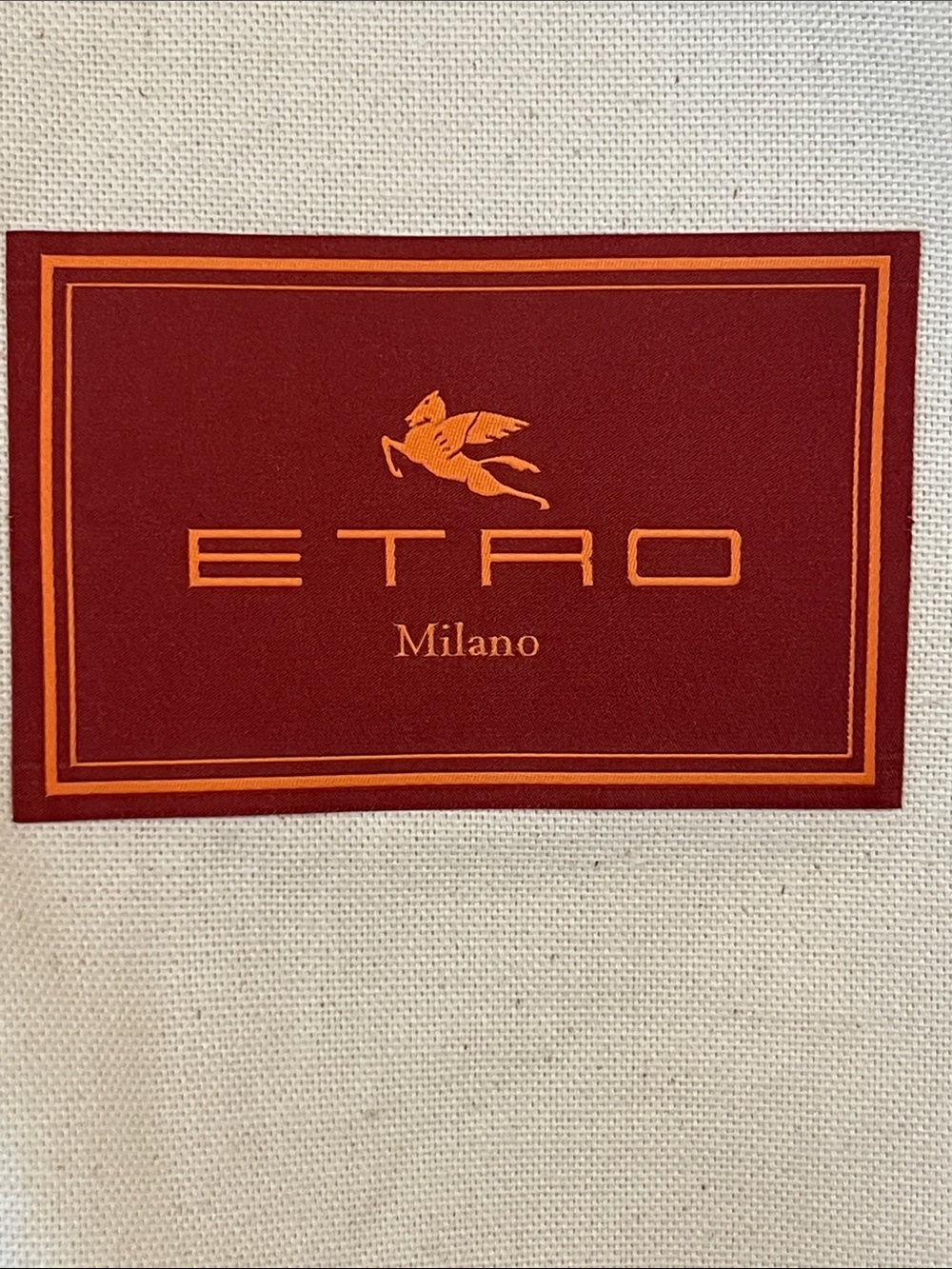 Etro Milano Luxury Cloth 55” Garment Bag - Picture 2 of 4